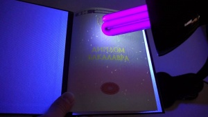 Неполученное высшее.jpg